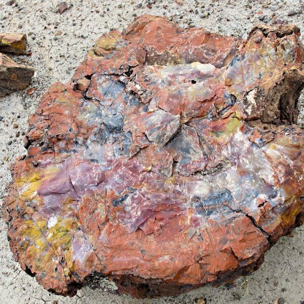 Petrified Wood - Lianne's Gem Creations-2